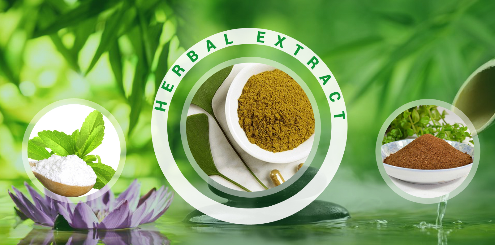 Herbal Extracts