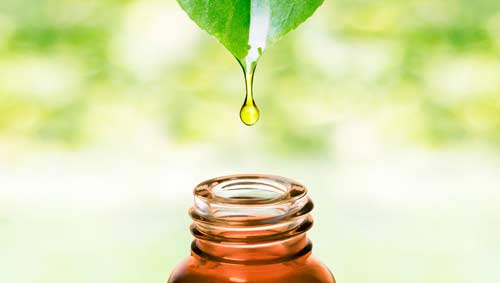 Essential Oil
