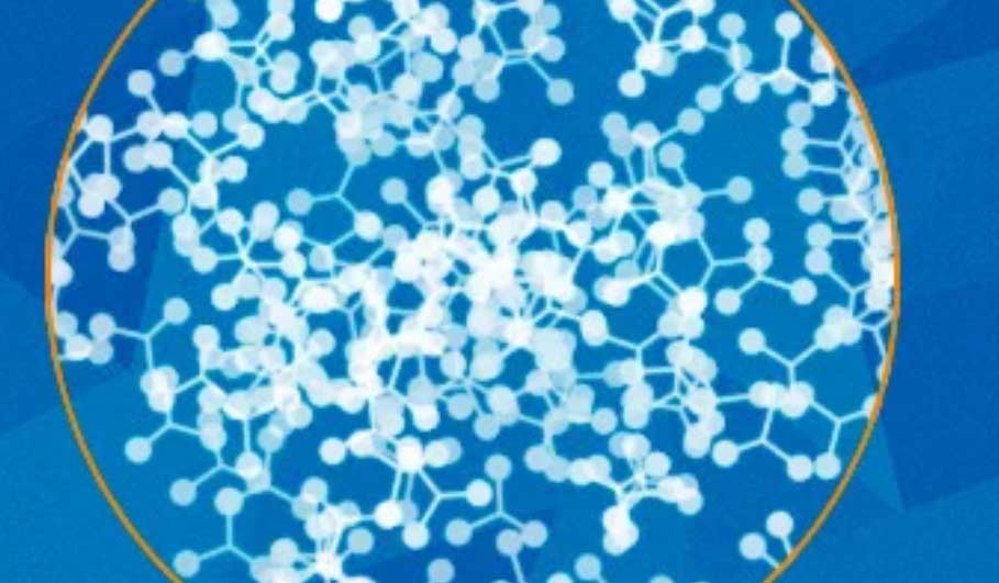 Amino Acid