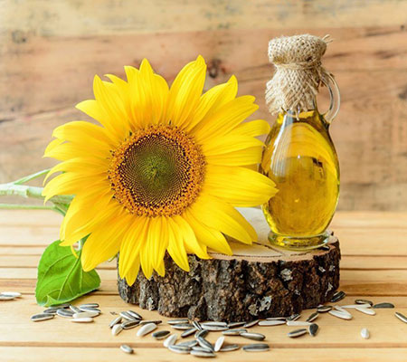 Sunflower Oil