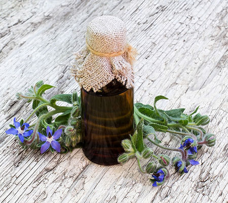 Borage Oil