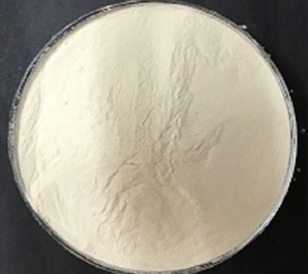 Fungal Diastase