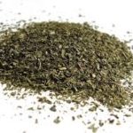 Green Tea Extract