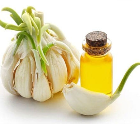 Garlic Oil